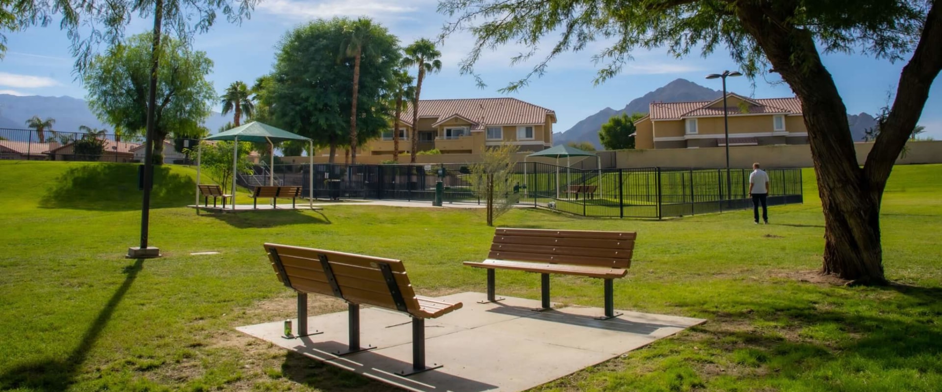 The Pet Policy in the Coachella Valley Wellness Recreation Program